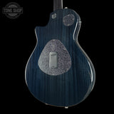 Back angle of Used Taylor T5z Pro Denim.