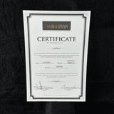 Certificate of Authenticity from Friedman on a dark textured background