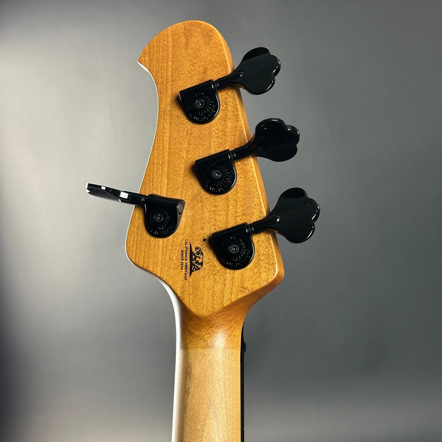 Close-up of a guitar headstock with tuning pegs on a gray background