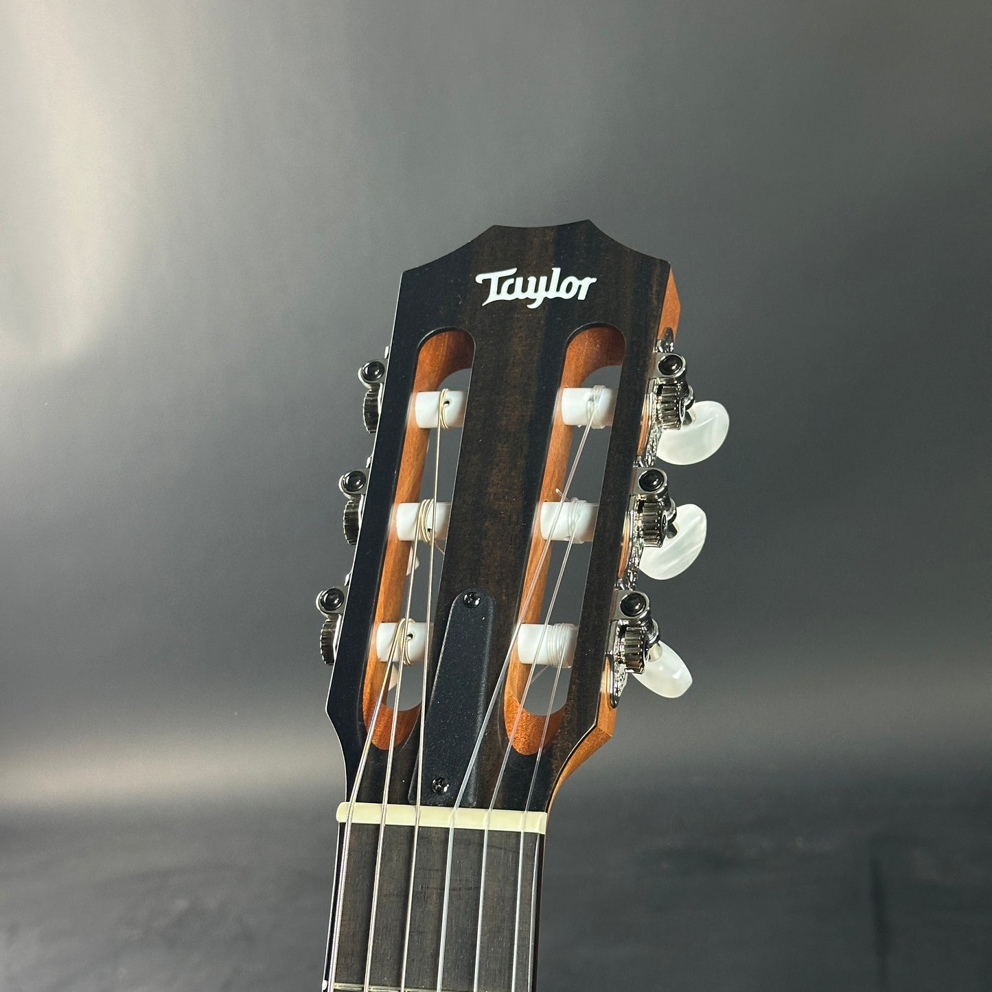 Taylor guitar headstock on a gray background