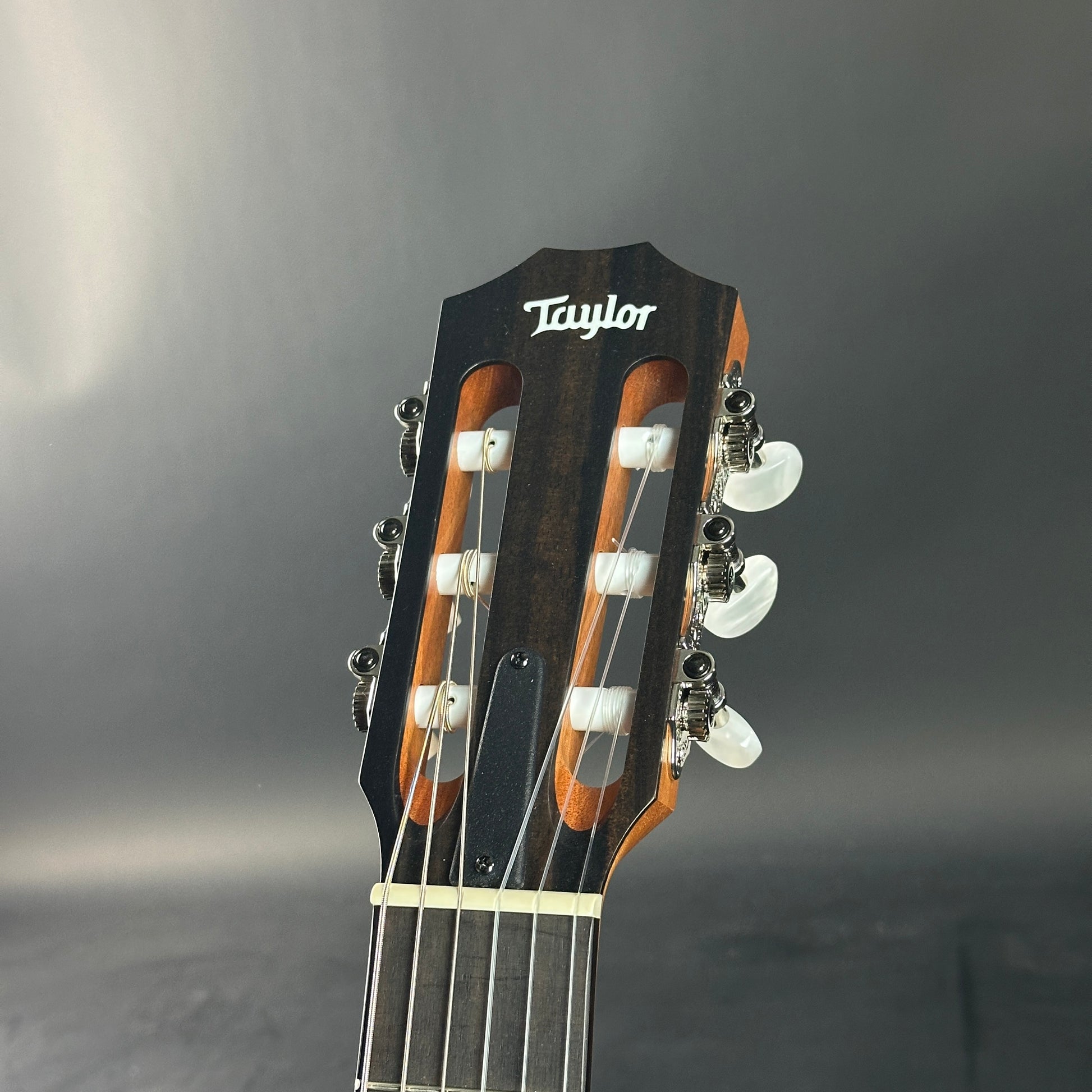 Taylor guitar headstock on a gray background