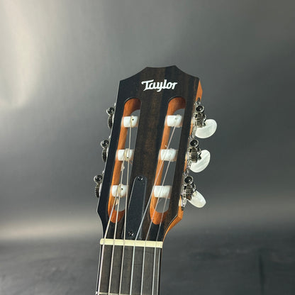 Taylor guitar headstock on a gray background
