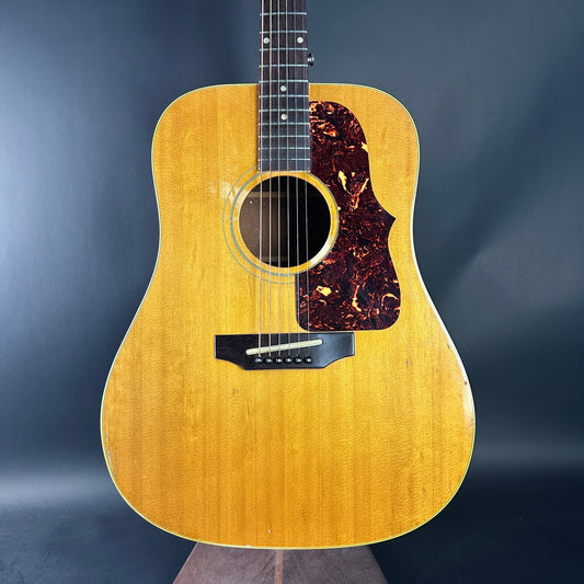 Acoustic guitar with a tortoiseshell pickguard on a dark blue background