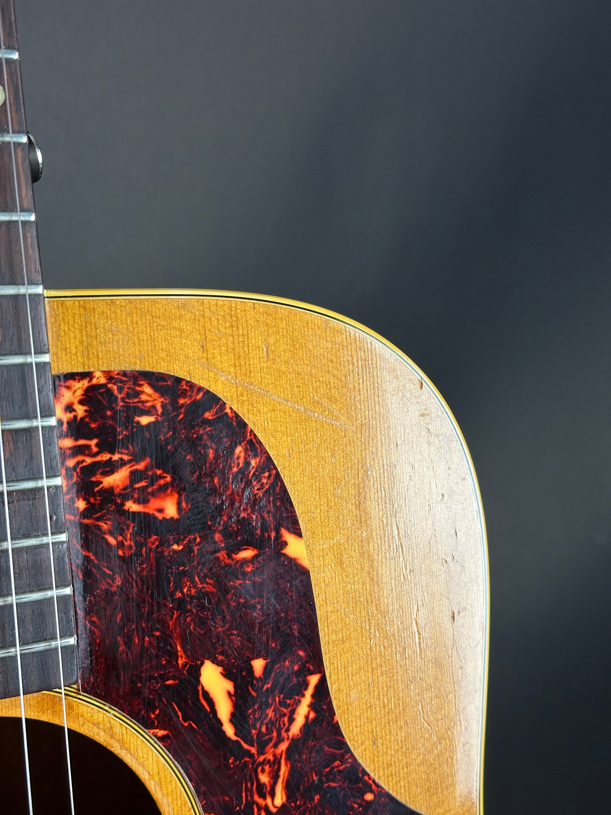 Close-up of a guitar's wooden neck and tortoiseshell pattern against a dark background