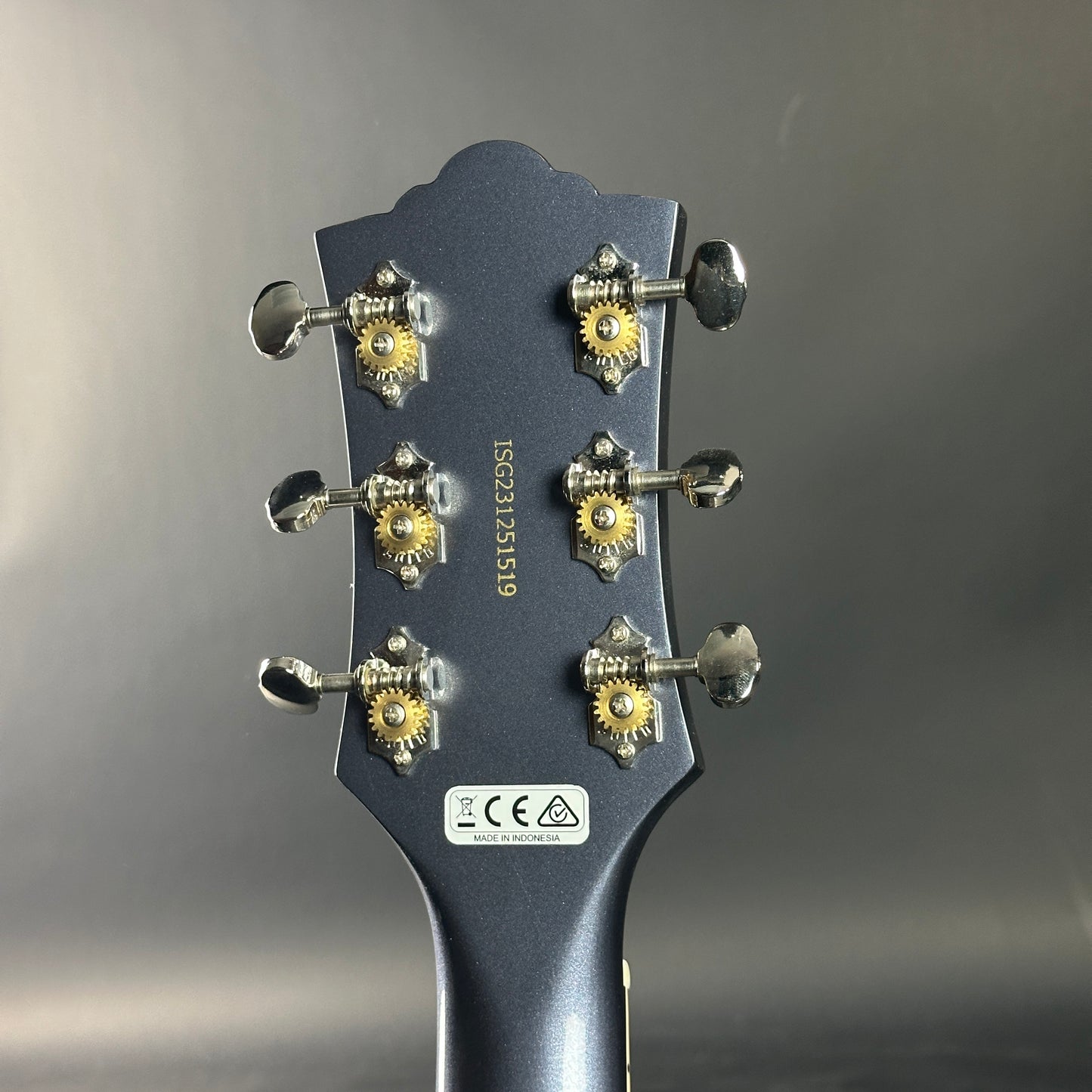 Guitar headstock with tuning pegs on a gray background