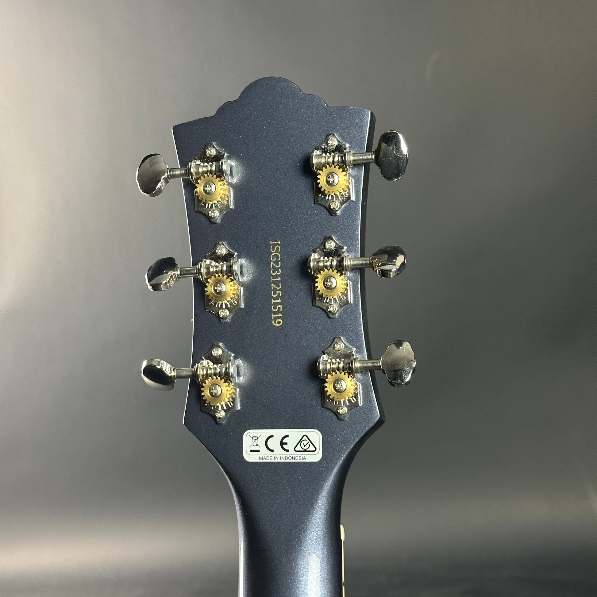 Guitar headstock with tuning pegs on a gray background