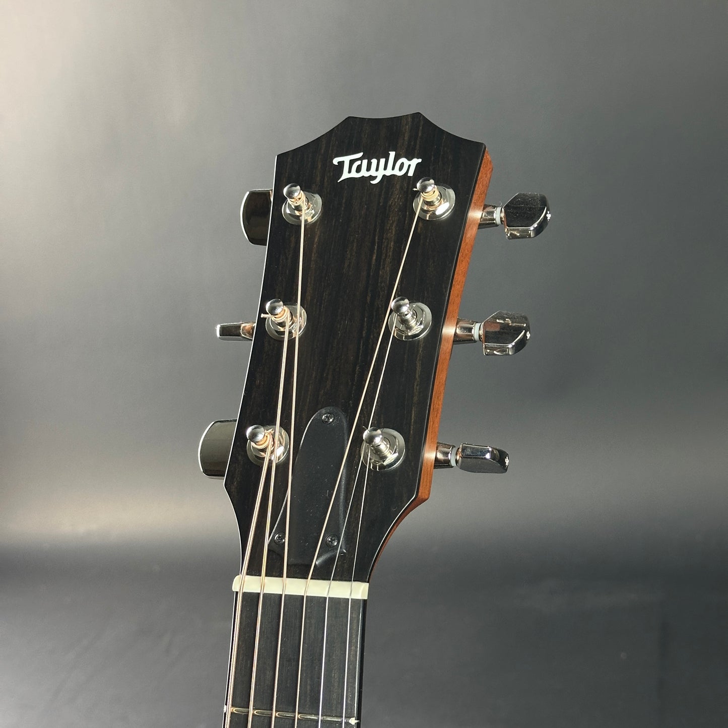 Taylor guitar headstock on a gray background