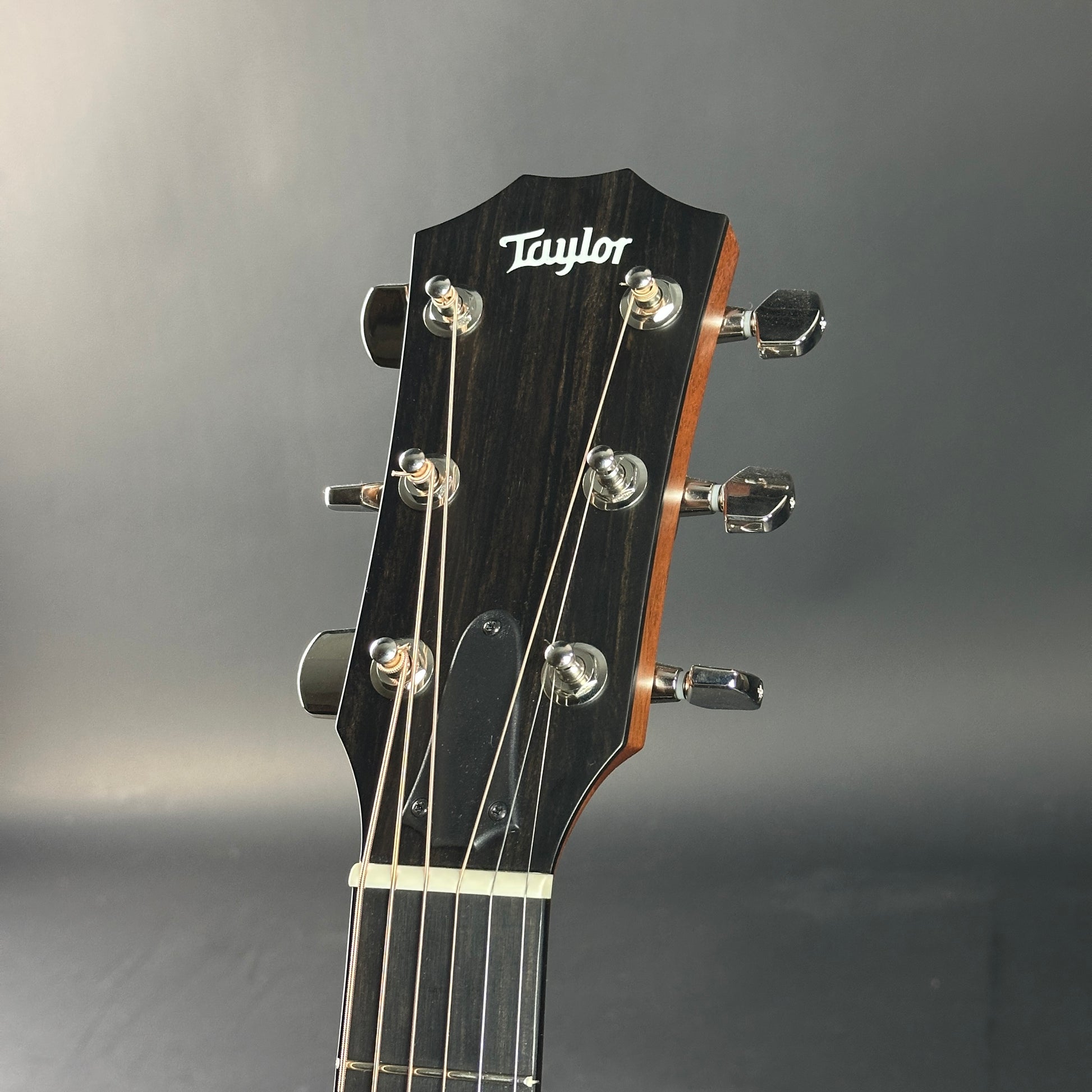 Taylor guitar headstock on a gray background