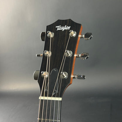 Taylor guitar headstock on a gray background