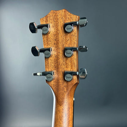Close-up of a guitar headstock with tuning pegs on a gray background