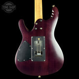 Back of Used Ibanez Herman Li Signature.