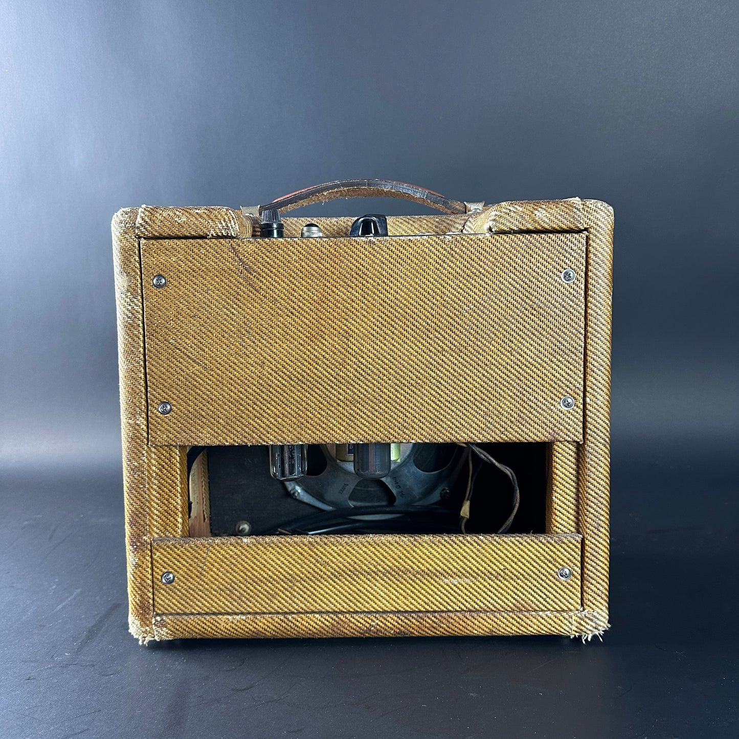 Back of Vintage 1962 Fender Champ 5f1.