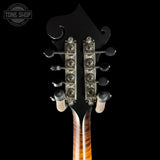 Close-up of a guitar headstock with tortoiseshell pattern on a black background, featuring 'Tone Shop' branding.