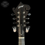 Guitar headstock with 'Collings' logo on a black background