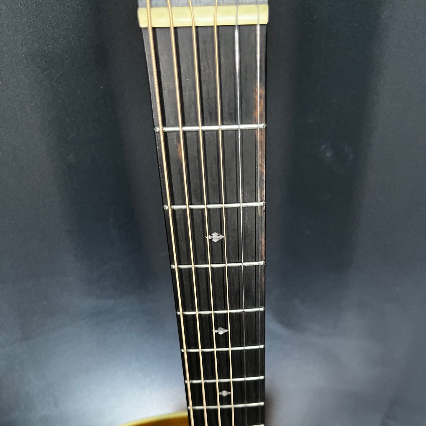 Fret board of Used 2019 Taylor 214ce-K DLX Natural w/Case TFW2647