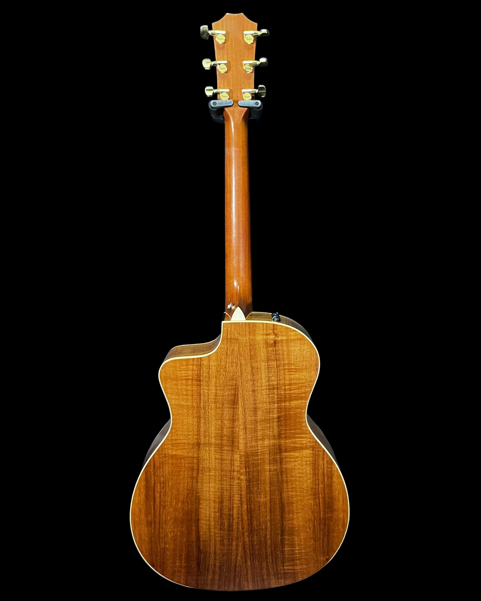 Full back of Used 2019 Taylor 214ce-K DLX Natural w/Case TFW2647