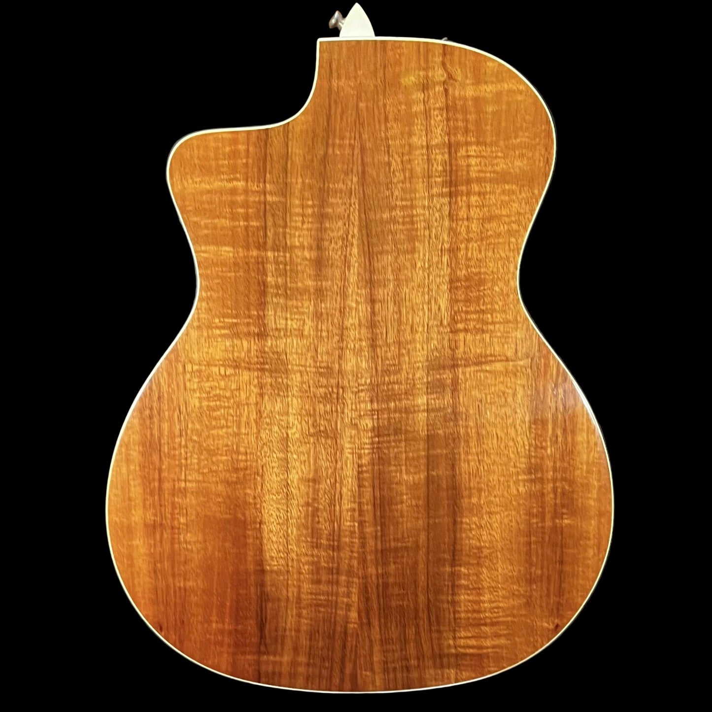 Back of Used 2019 Taylor 214ce-K DLX Natural w/Case TFW2647