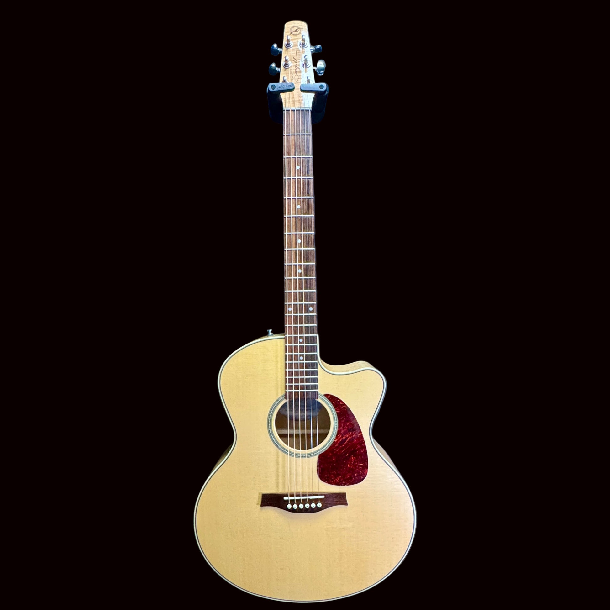 Front of Seagull acoustic guitar