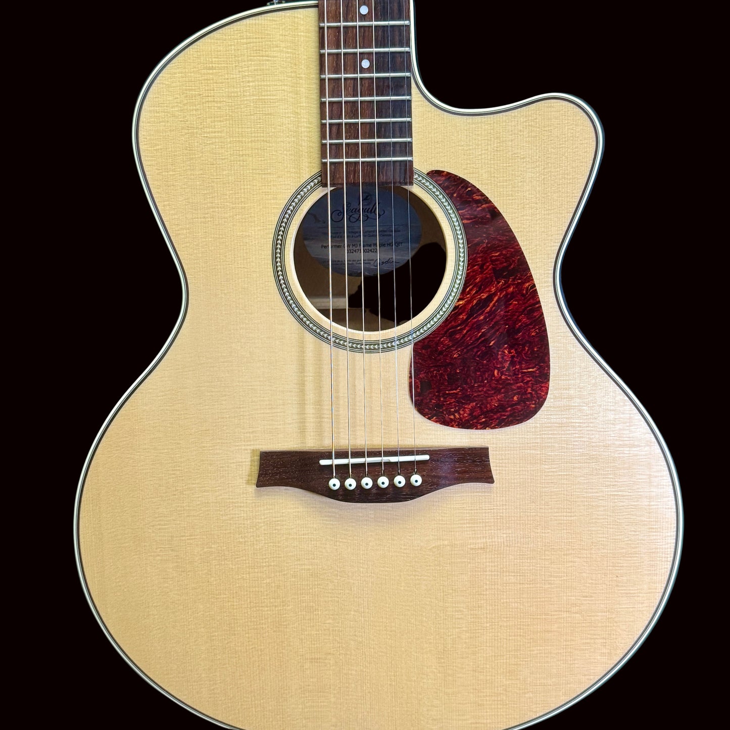 Front of Seagull Acoustic guitar