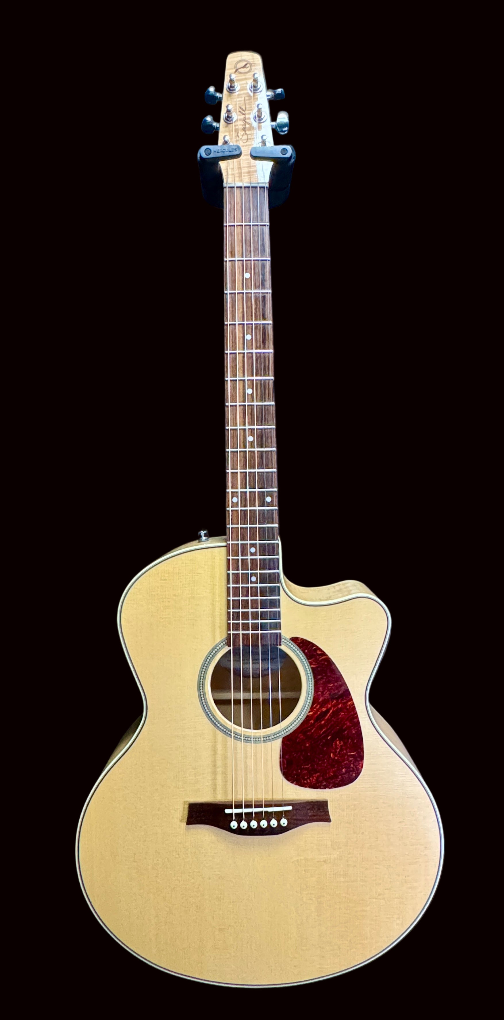 Acoustic guitar with a cutaway on a blue background