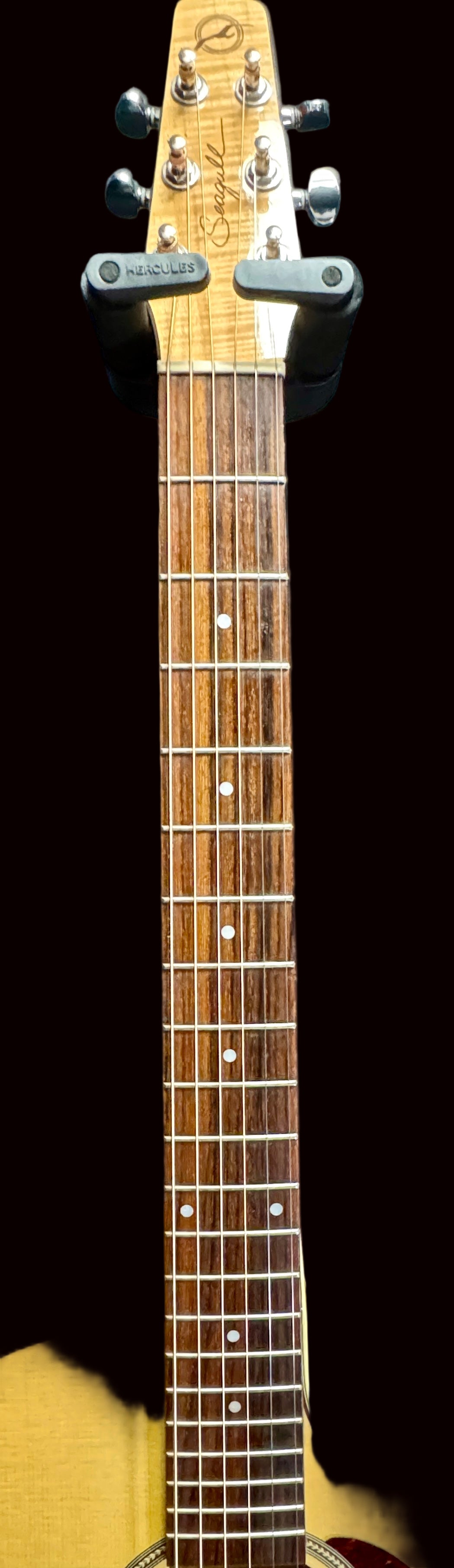 Close-up of a guitar neck with a dark background