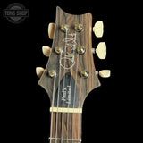 Guitar headstock with brand logo on a black background
