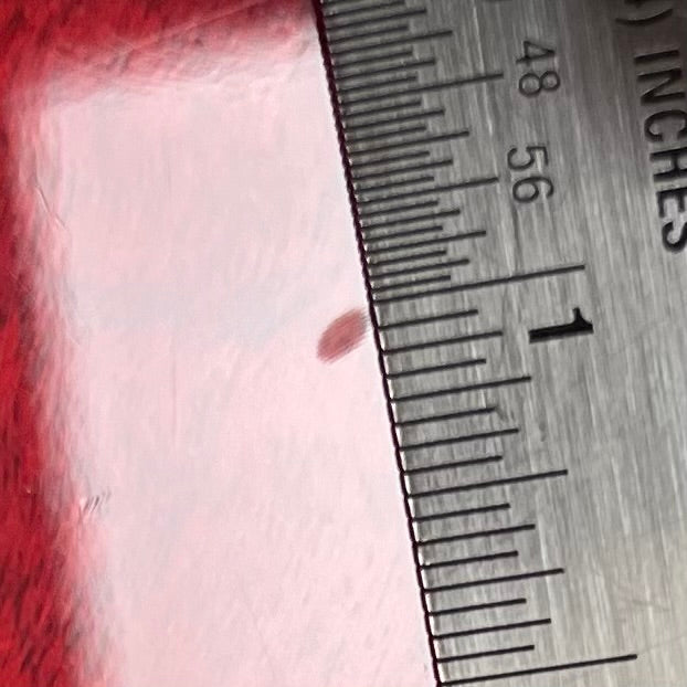 Ding on back of Used 2020 Gibson ES-339 Figured Sixties Cherry TFW2699