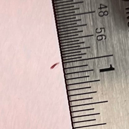 Ding on back of Used 2020 Gibson ES-339 Figured Sixties Cherry TFW2699