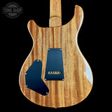 Back of Used PRS TSG Anniversary Wood Library Artist DGT Frostbite Brazilian Rosewood.