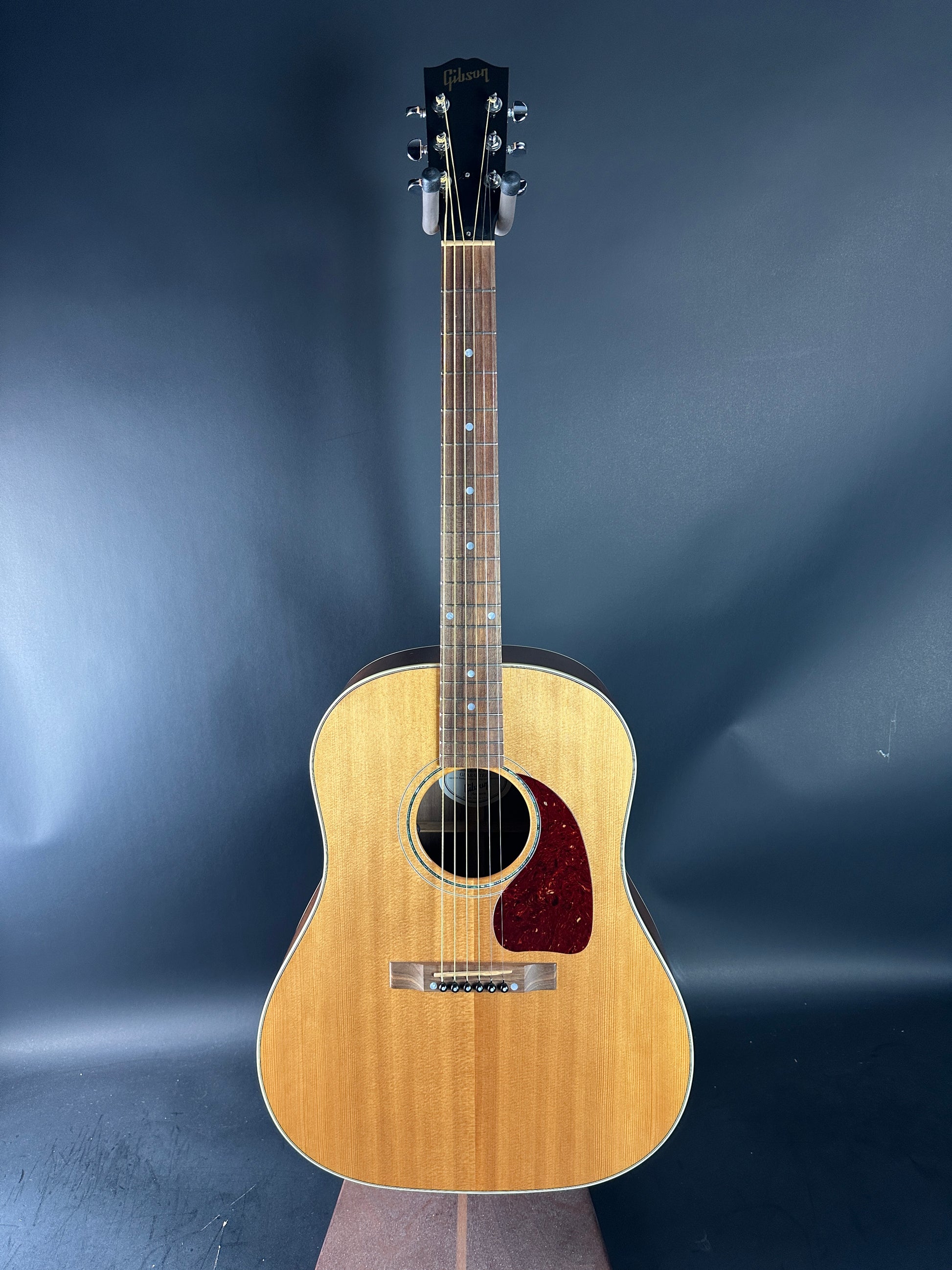 Acoustic guitar on a dark blue background