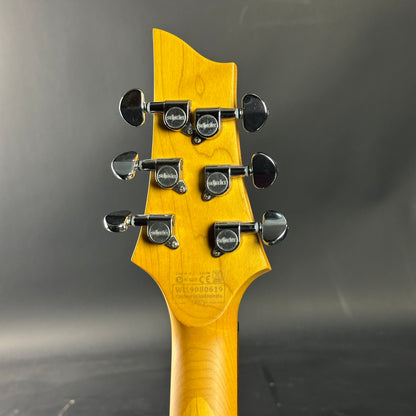 Guitar headstock with tuning pegs on a dark gray background