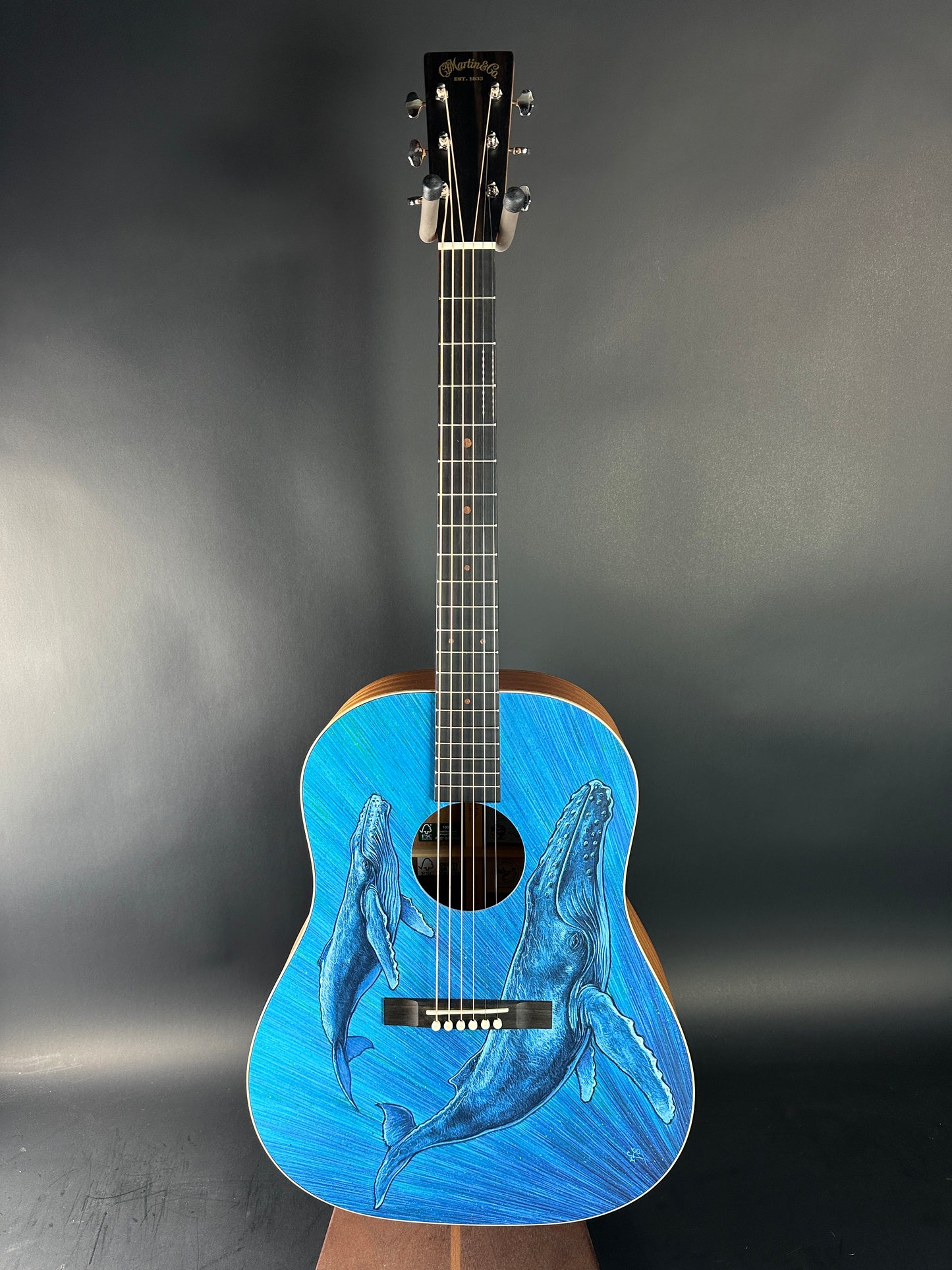 Acoustic guitar with whale design on a dark gray background