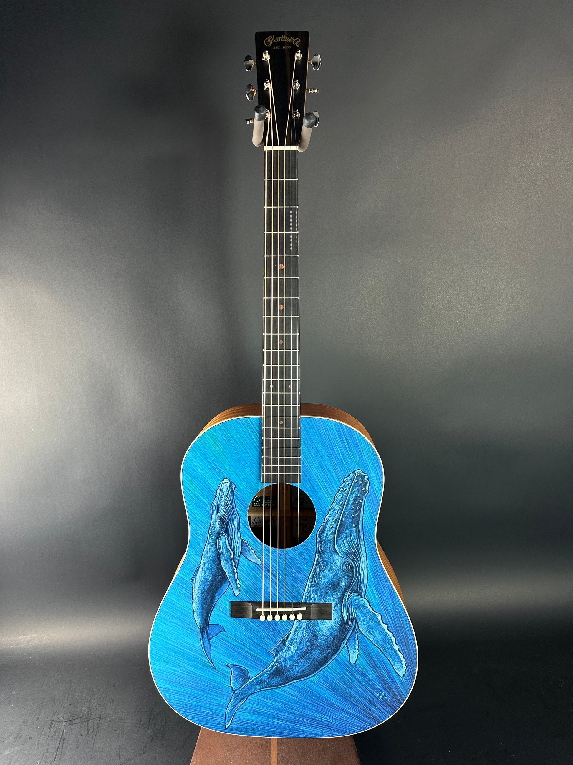 Acoustic guitar with whale design on a dark gray background