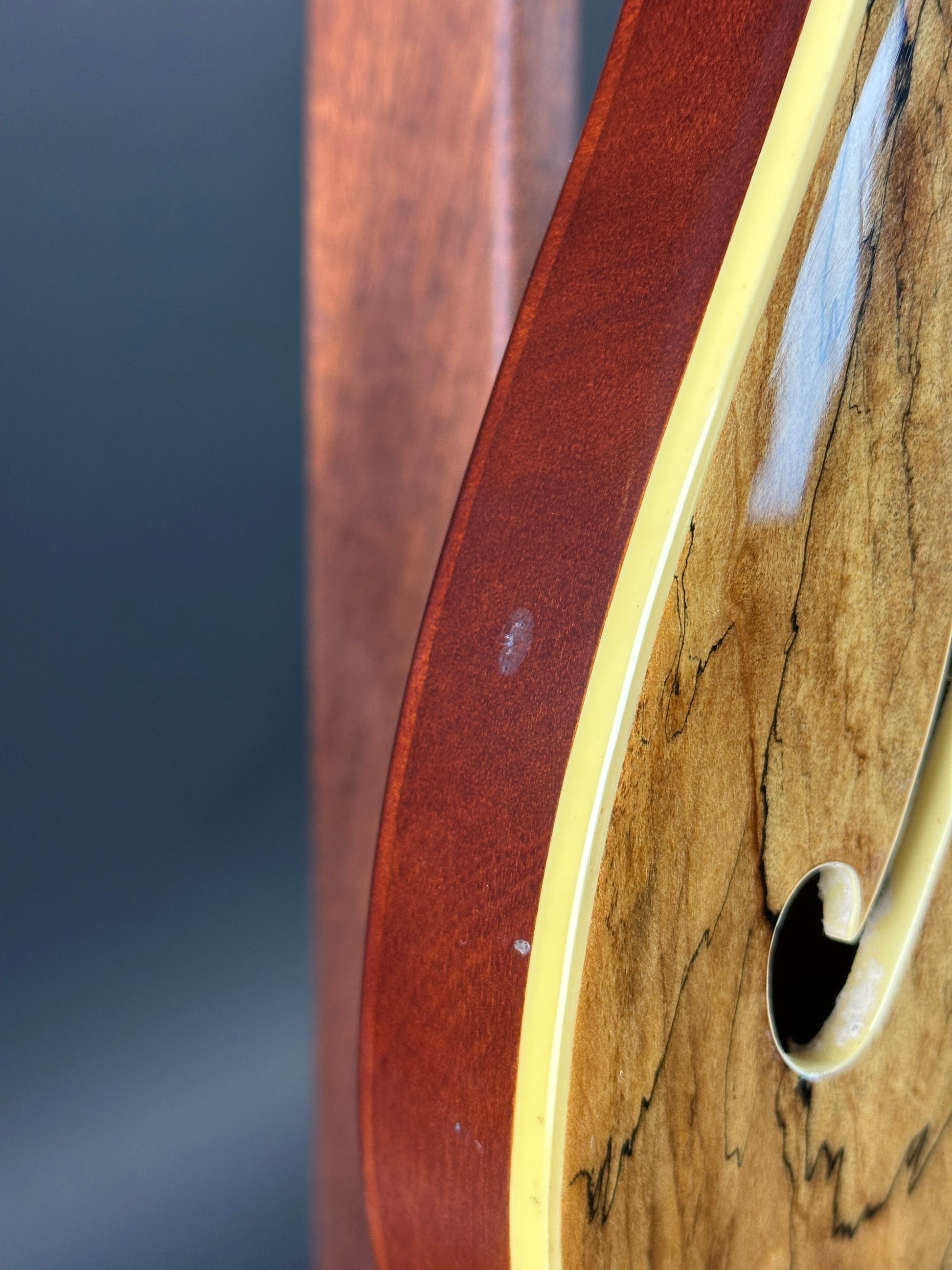 Wear on side of Used Michael Kelly 59 Thinline Spalted Maple.