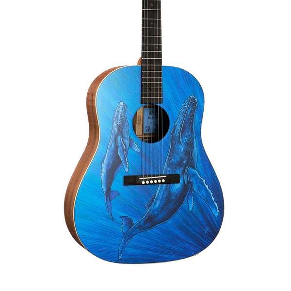 Front of Martin DSS BioSphere II.