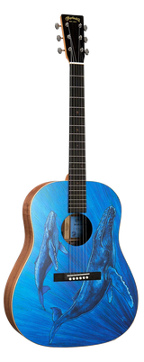 Full frontal of Martin DSS BioSphere II.