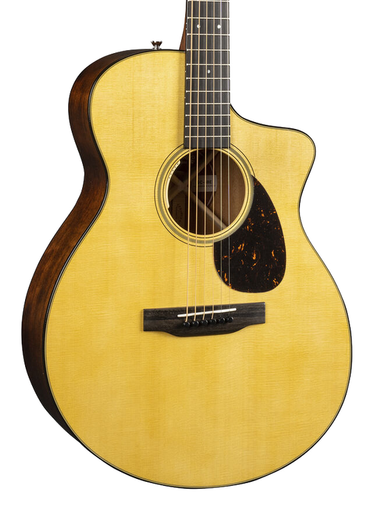Front of Martin SC-18E wLR Baggs.