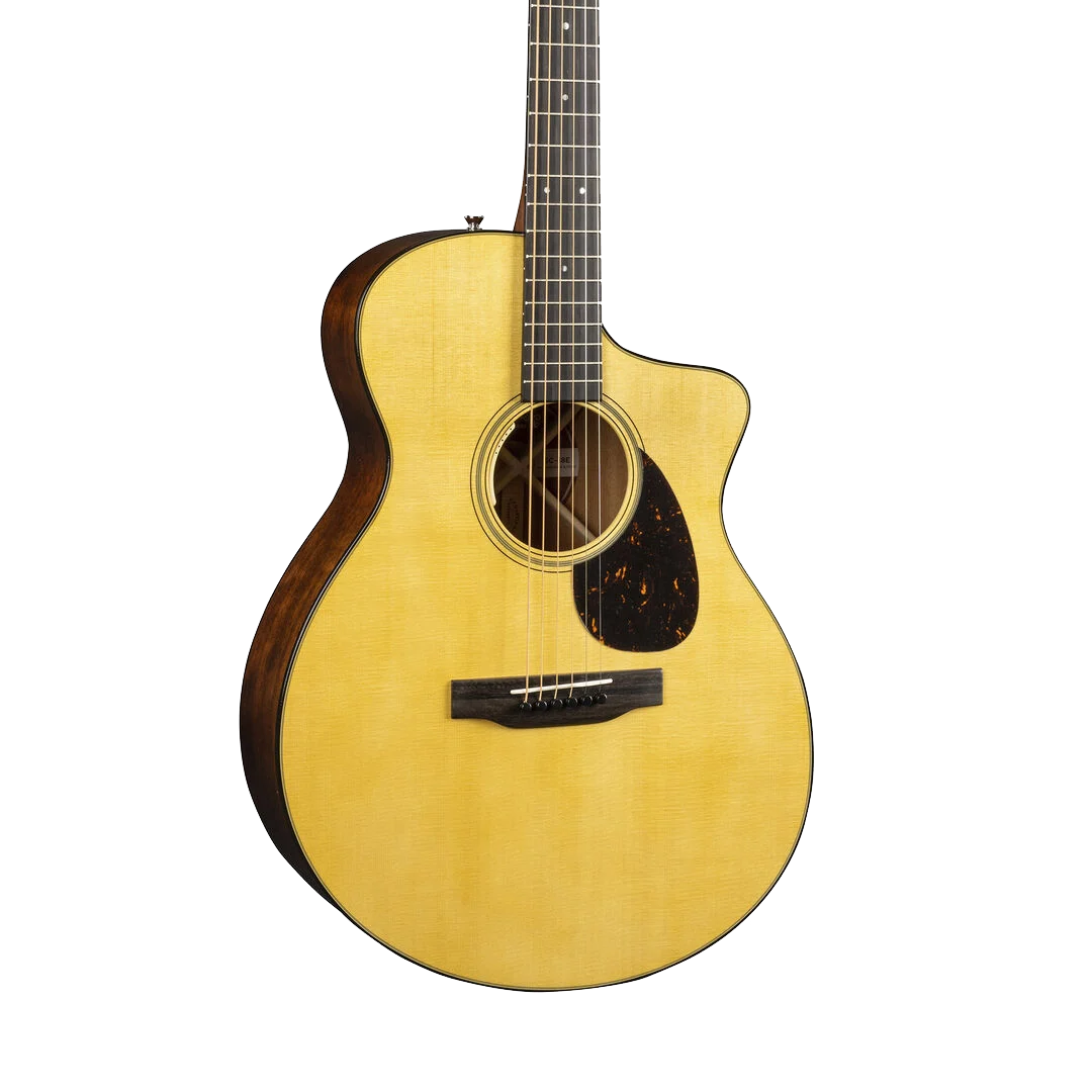 Front of Martin SC-18E wLR Baggs.