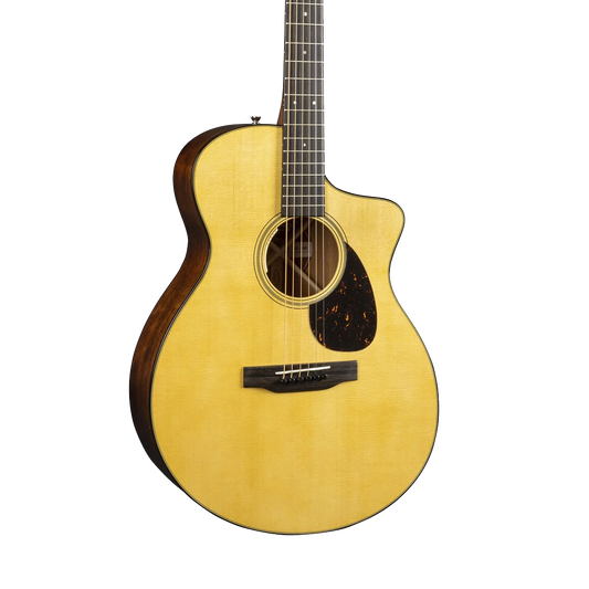 Front of Martin SC-18E wLR Baggs.