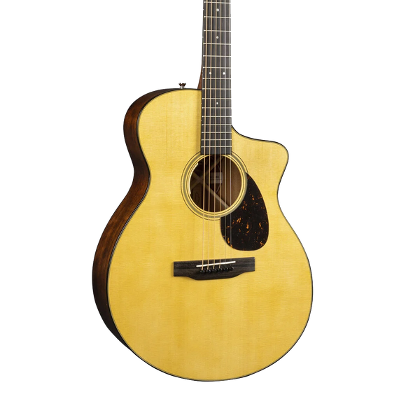 Front of Martin SC-18E wLR Baggs.