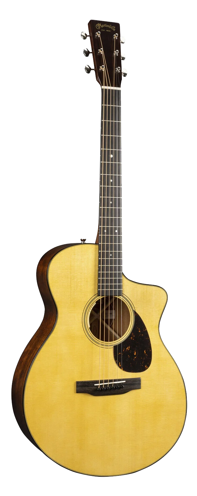 Full frontal of Martin SC-18E wLR Baggs.