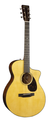 Full frontal of Martin SC-18E wLR Baggs.