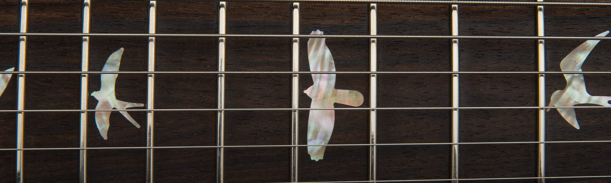 PRS plug in and play sale banner with 15% off discount