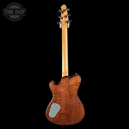 Back of Powers Electric A-Type Pearl White FF42 Anodized Camtail Matching Headstock B279.