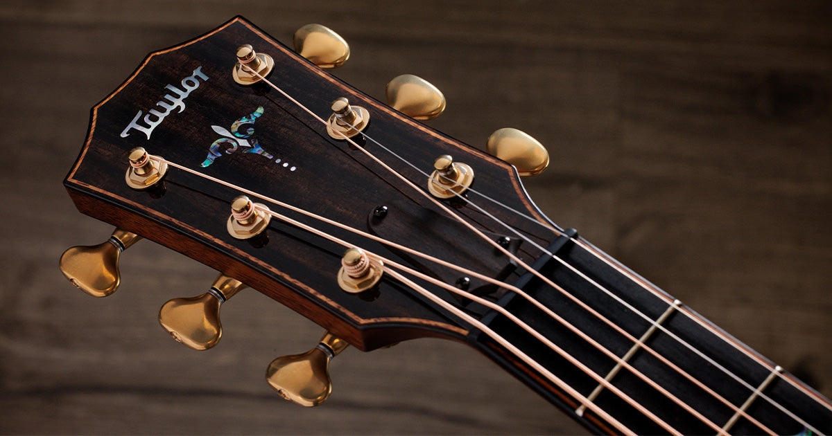 Closeup of Taylor guitars headstock against a neutral background.