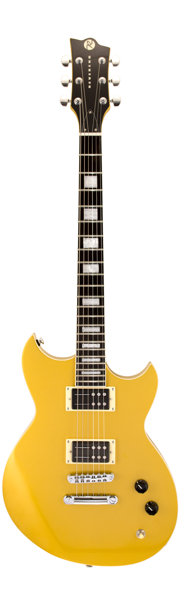 Full frontal of Reverend Robin Finck Venetian Gold E.