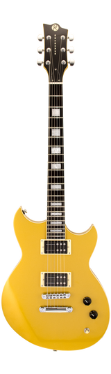 Full frontal of Reverend Robin Finck Venetian Gold E.