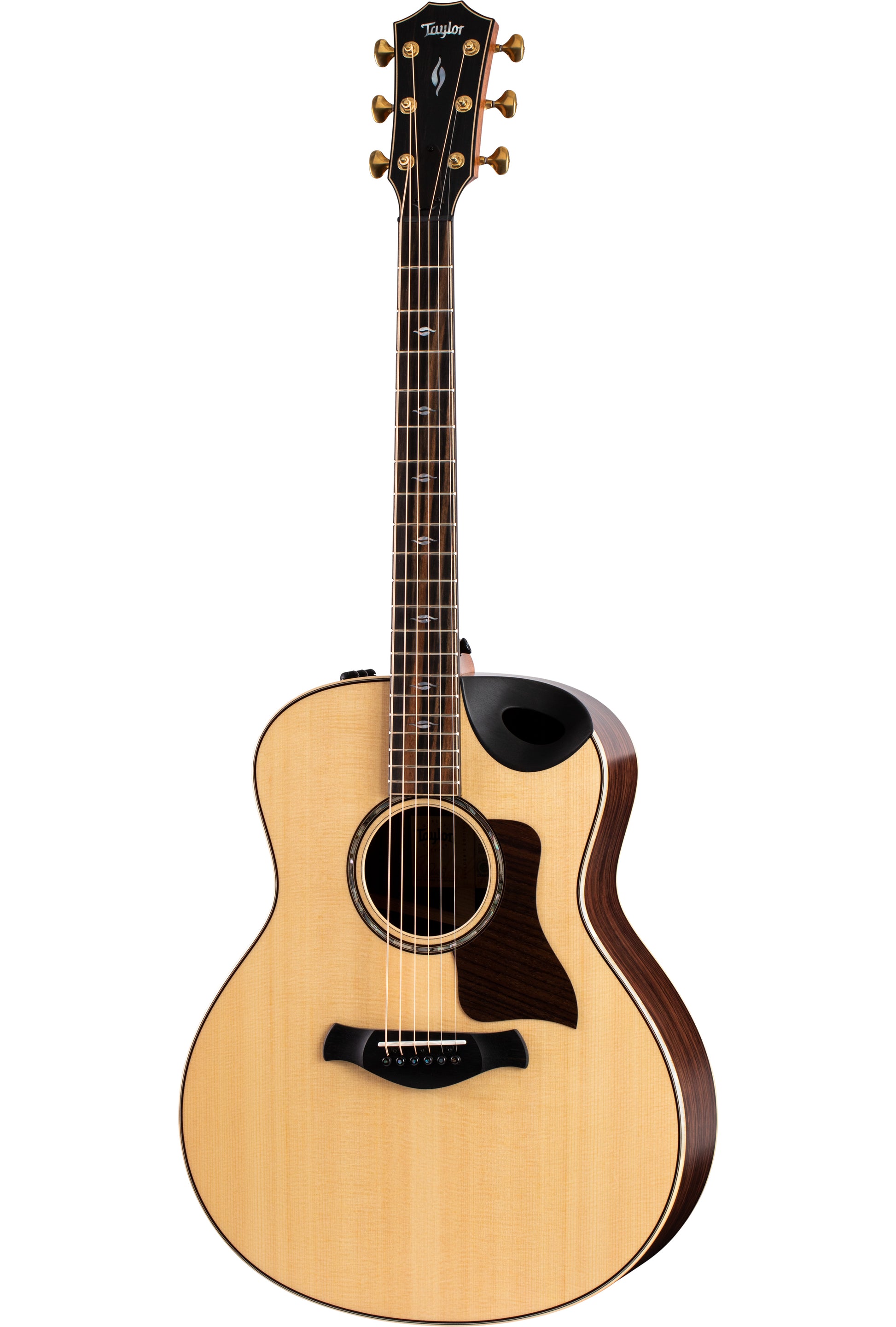Full view of Taylor Builder’s Edition 816ce V-Class Bracing w/case