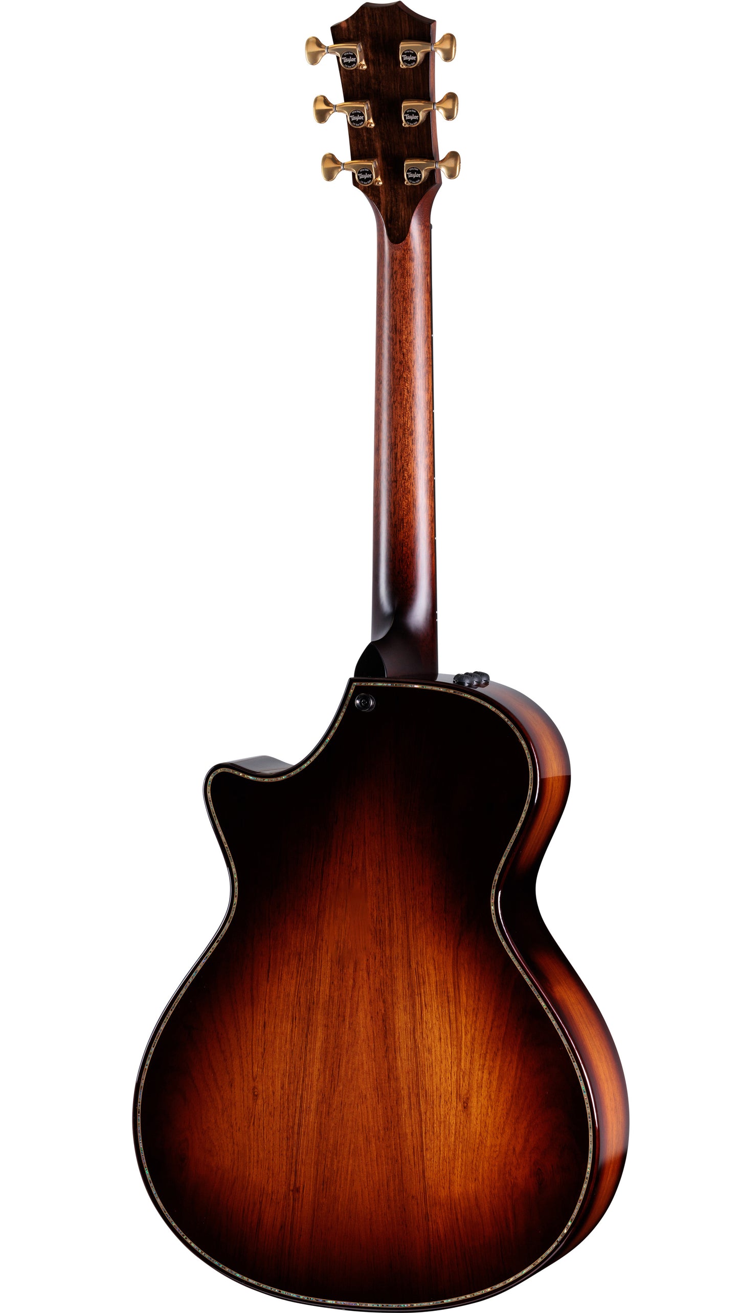Full back of Taylor Builders Edition 912ce Sinker Redwood Honduran Rosewood w/case