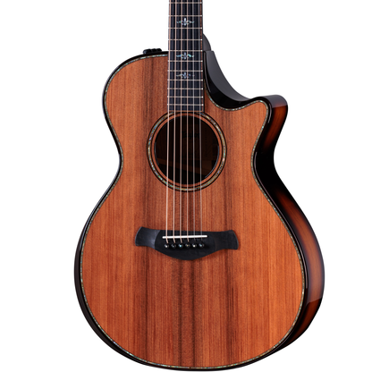 Closeup of Taylor Builders Edition 912ce Sinker Redwood Honduran Rosewood w/case